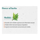 himalaya-shallaki-pain-and-inflammation--61DHjJF8JWL.jpg
