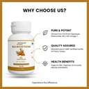 sea-buckthorn-oil-capsules-500mg-prostat-61zV1wfZvDL.jpg