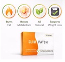 prime-choice-slimming-patches-for-weight-51KY5RiCmTL.jpg
