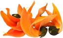 iagrifarm-palash-dried-flower-powder-250-517U9Ua7xlL.jpg