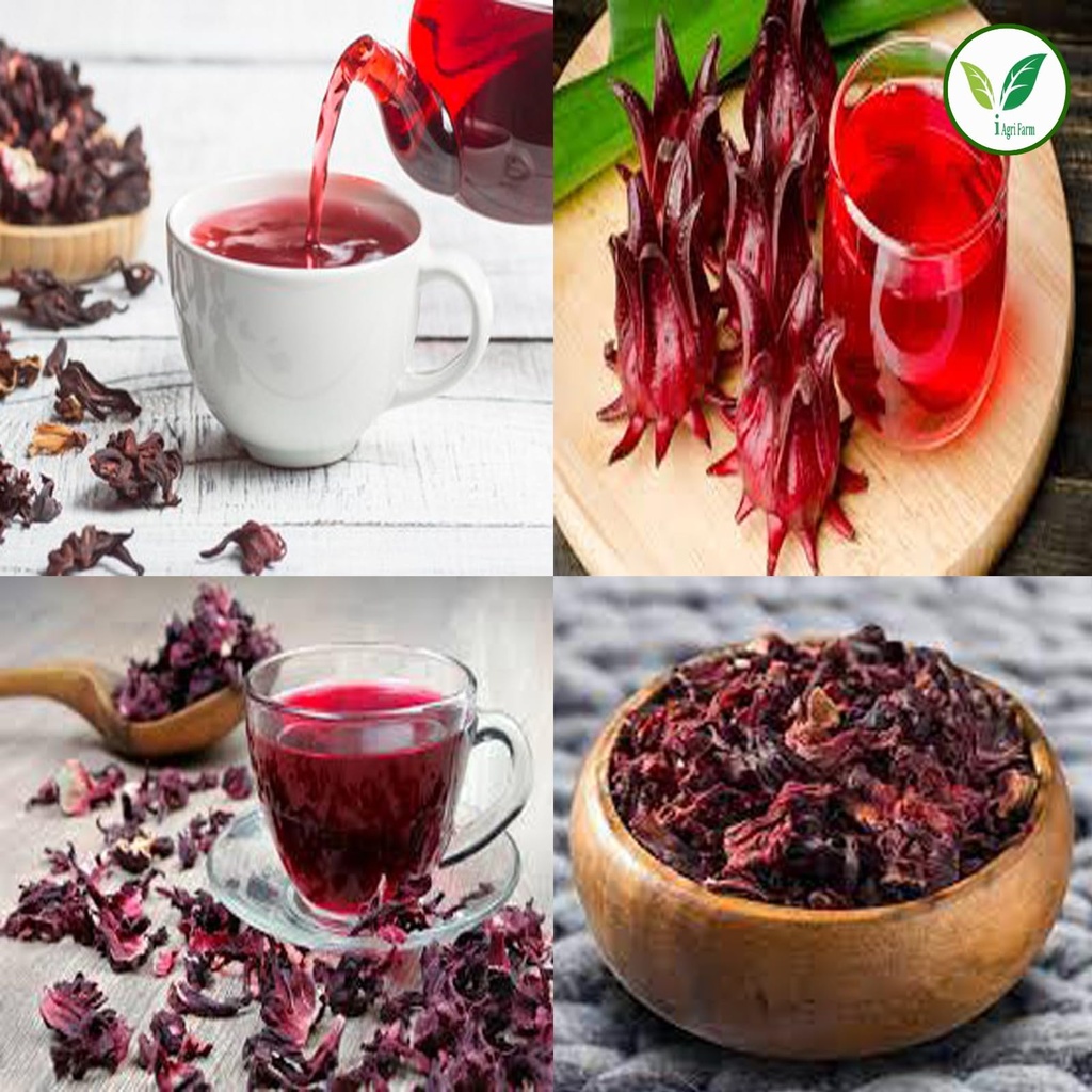 iagrifarm-hibiscus-roselle-flower-dry-25-71kOsKlNJ8L.jpg