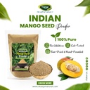 thanjai-natural-mango-seed-powder-100g-1-61Ilw-SkfyL.jpg