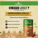 ashwagandha-ksm-66-gummies-stress-anxiet-81s+zvZRuBL.jpg