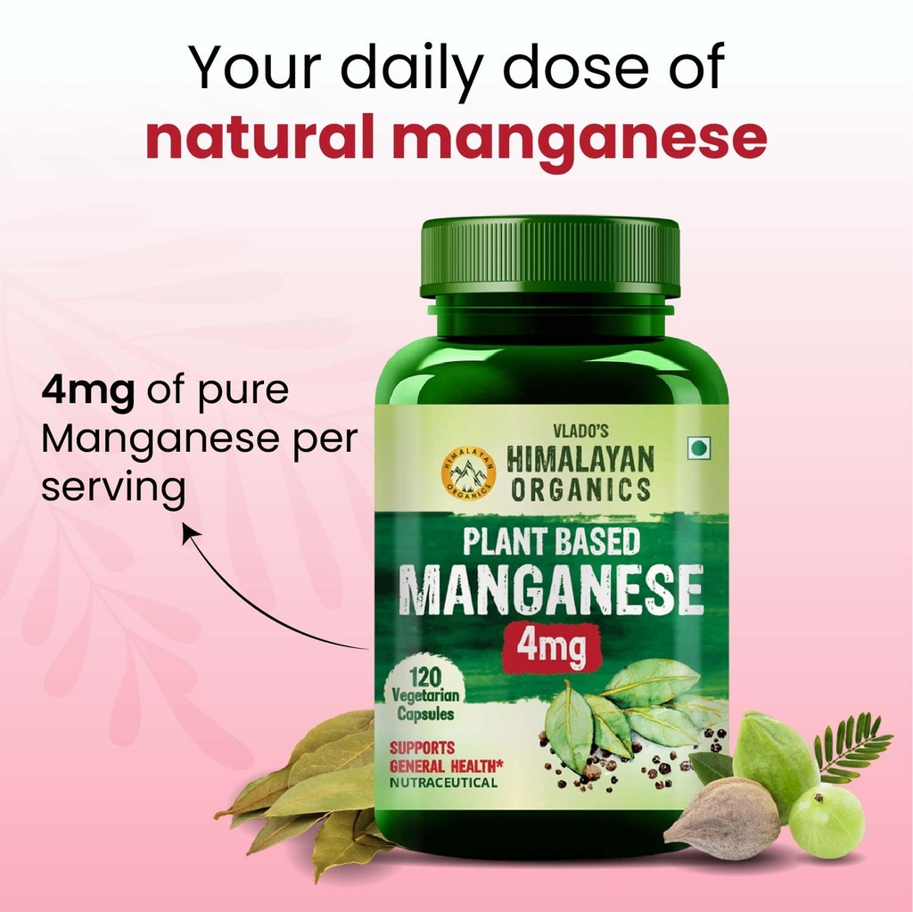vlado-s-himalayan-organics-plant-based-m-71EAJ+OLuwL.jpg