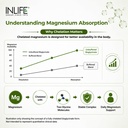 inlife-unbuffered-magnesium-glycinate-20-81hGHm7l6VL.jpg