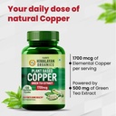 vlado-s-himalayan-organics-plant-based-c-71Iwfc57xVL.jpg