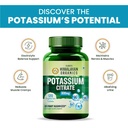 vlado-s-himalayan-organics-potassium-cit-71GwVQXF1rL.jpg