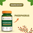 pure-nutrition-phosphorus-600mg-120-veg--71N46qFy-9L.jpg
