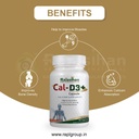 cal-d3-capsules-by-rajasthan-aushdhalaya-61A2eHSzMfL.jpg