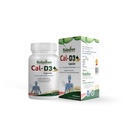 cal-d3-capsules-by-rajasthan-aushdhalaya-71kOa4yI+PL.jpg