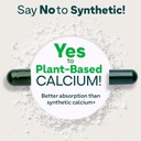 oziva-calcium-magnesium-zinc-with-vitami-61LVY0jIRWL.jpg