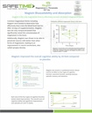 functional-nutrition-magtein-magnesium-l-81iwixXvqYL.jpg