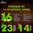 myherb-slim-up-meal-replacement-shake-wi-91kDhgVowhL.jpg