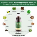 saabhi-tox-out-liver-detox-juice-500ml-k-815VhohUpBL.jpg