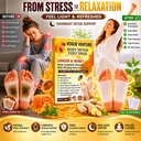 vogue-venture-ginger-detox-foot-patches--81efWu-IGSL.jpg