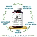 gut-detox-supplement-natural-digestion-s-81+0pOQP9gL.jpg