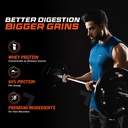 fuelone-whey-protein-blend-rich-chocolat-81jeVgUIZYL.jpg