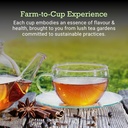 first-bud-organics-ultimate-detox-tea-co-61l2r9HS2mL.jpg