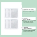 herbal-detox-foot-pads-with-bamboo-vineg-510czFLzzXL.jpg