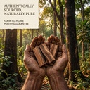 indianjadibooti-pure-vijaysar-wood-ptero-81oxYP3SqLL.jpg