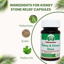 ayurvedic-capsules-herbal-support-for-ki-71700Doy1WL.jpg