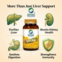 organic-wellness-natural-liv-fit-supplem-71naw-aFZ3L.jpg