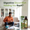 jeena-sikho-ayurvedic-liver-detox-gut-cl-71dsx9ipL7L.jpg