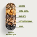 kapiva-ashwagandha-gold-60-caps-183rd-da-61jTDr5d1gL.jpg
