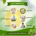 herbal-giloy-detox-body-patch-stress-rel-61q0mo4VyDL.jpg