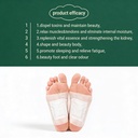 60-pads-herbal-detox-foot-pads-for-toxin-71e5eQl-NXL.jpg