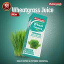 baidyanath-wheatgrass-juice-1l-natural-l-61Ki85vriOL.jpg