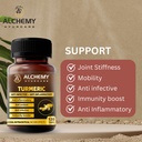 turmeric-extract-tablets-by-alchemy-ayur-81MgySOb48L.jpg