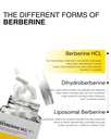 berberine-hcl-98-jp-1000mg-hplc-verified-71qpqAMky1L.jpg