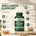 nutrabud-organics-sea-buckthorn-berry-po-813S-IiUp5L.jpg