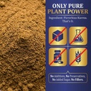 biotic-natural-kutki-powder-for-liver-de-71IySpzi3ML.jpg