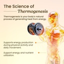 advanced-fat-burner-pro-natural-glp-8-ac-71mRdMX6v9L.jpg