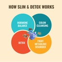 slim-detox-natural-healthy-powder-amla-j-51BcpTmzzNL.jpg