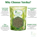 yuvika-sonf-choti-saunf-barik-foeniculum-61xdTlU8c3L.jpg