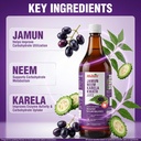 multani-neem-karela-jamun-juice-1l-helps-81wnmPP1FoL.jpg