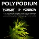 polypodium-leucotomos-extract-101-240-mg-6.jpg