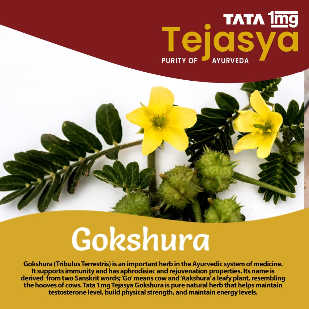 tata-1mg-tejasya-gokshura-capsule-helps--617gpBCxQwL.jpg