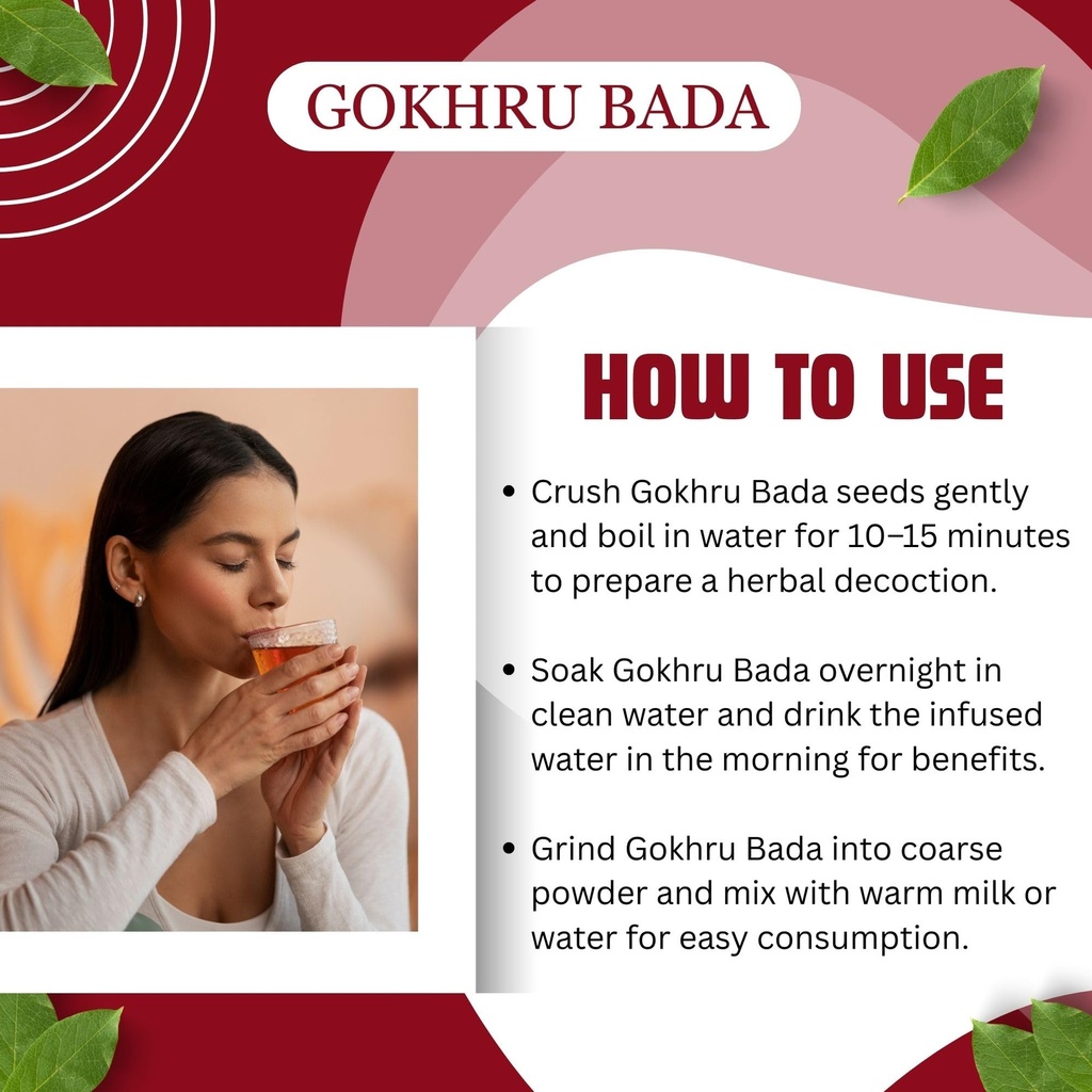 birju-mahavir-gokhru-bada-pedalium-murex-71vyFqeYbWL.jpg