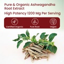vlado-s-himalayan-organics-organic-ashwa-71kR71rh3tL.jpg