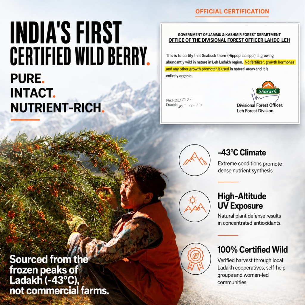 biosash-himalayan-sea-buckthorn-juice-25-818xLn3CJML.jpg