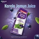 baidyanath-premium-karela-jamun-juice-1l-61DrFfwUZuL.jpg
