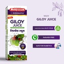 baidyanath-asli-ayurved-giloy-juice-natu-81FdFWvxMUL.jpg