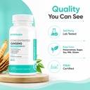 korean-red-panax-ginseng-supplement-1700-61wlixtqdDL.jpg