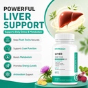 liver-detox-supplement-nac-n-acetyl-l-cy-71l4NSha4NL.jpg