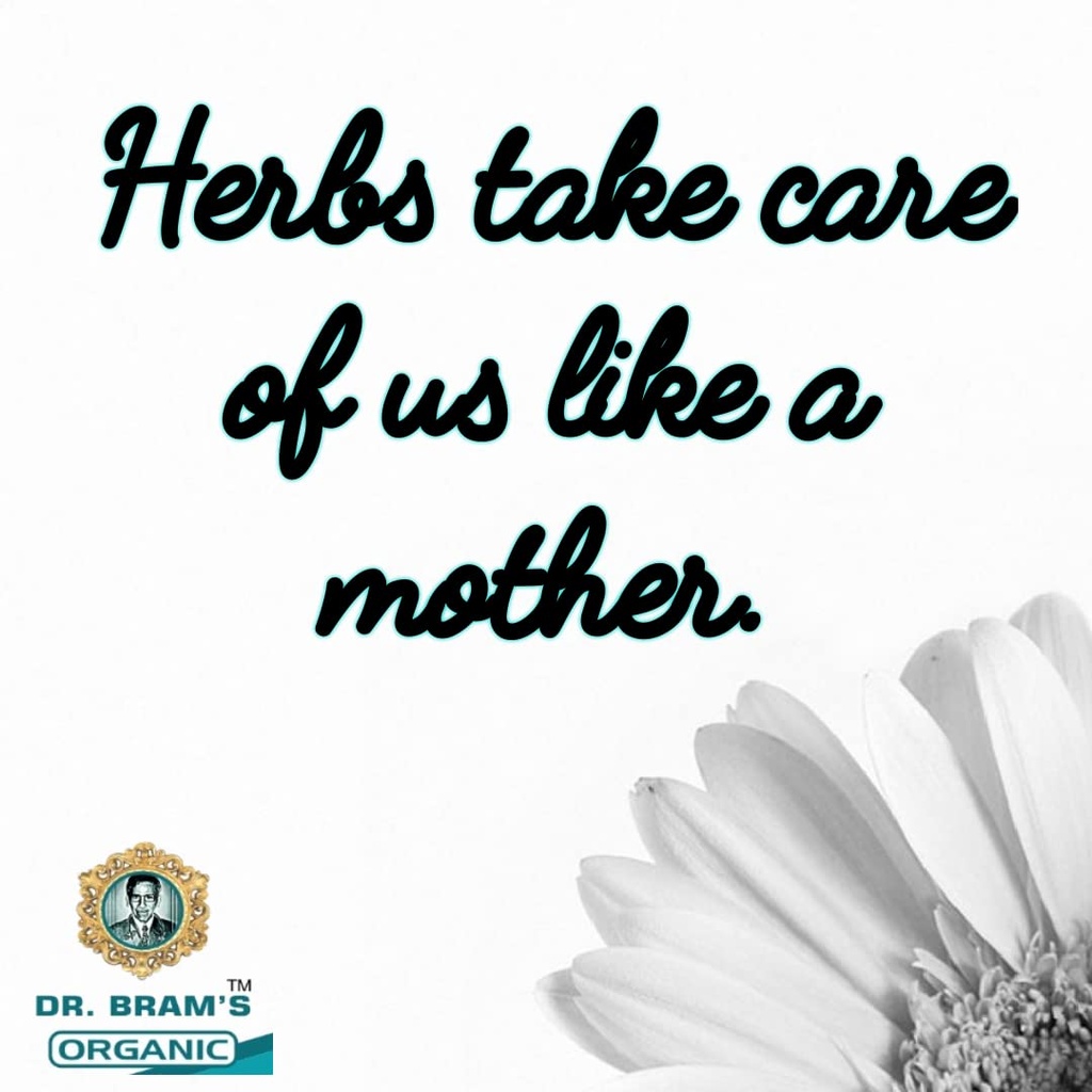 dr-bram-s-organic-blessed-thistle-herb-e-61H7yZRGK7L.jpg