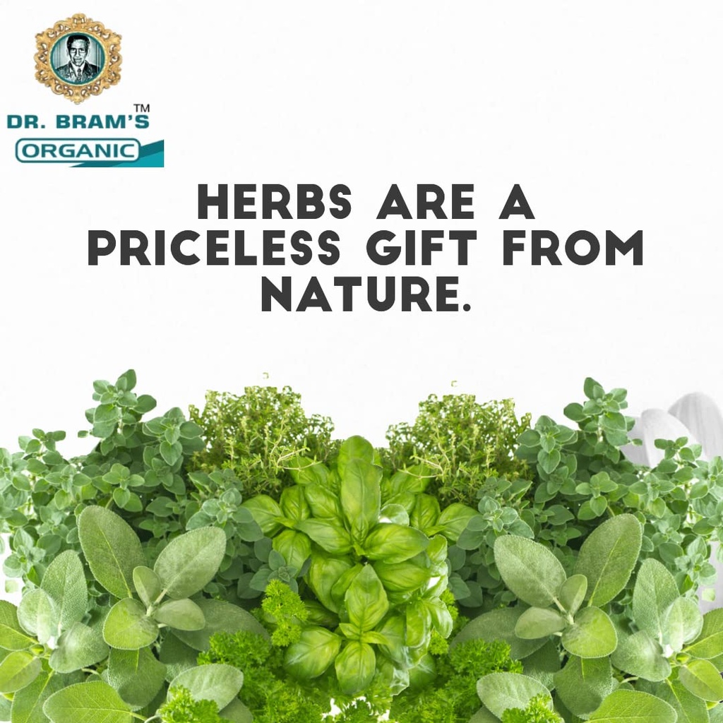 dr-bram-s-organic-blessed-thistle-herb-e-61Ewg9Kz1dL.jpg